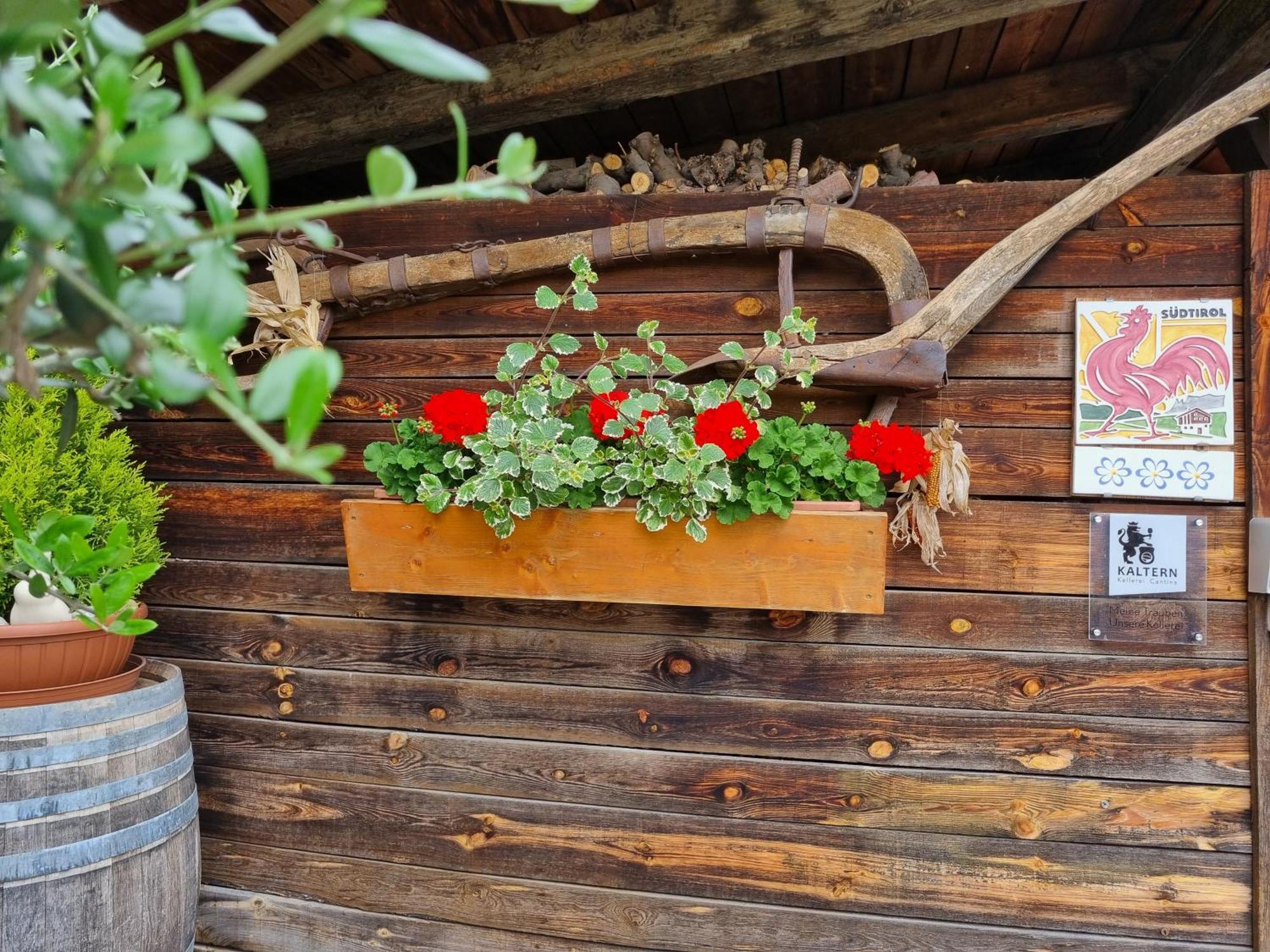 Urlaub Auf Dem Bauernhof Schmidhof - Grosse Terrasse, Pool Und Beste Lage Caldaro Exterior foto